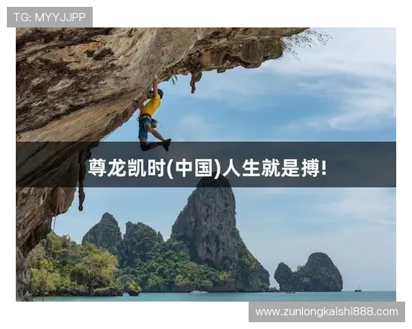 揭秘尊龙凯时官方平台电话背后的服务团队与支持系统