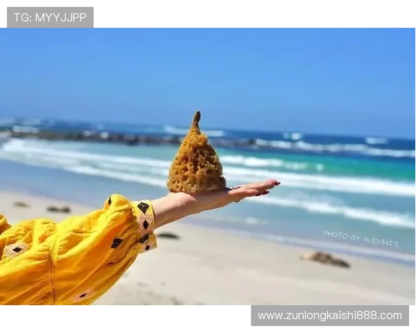 通过尊龙游戏开启你的冒险之旅：畅享刺激与欢乐的世界