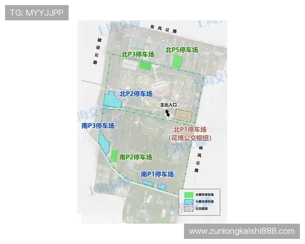 尊龙时凯人生就是博官网入口助你轻松掌握游戏玩法与技巧提升体验